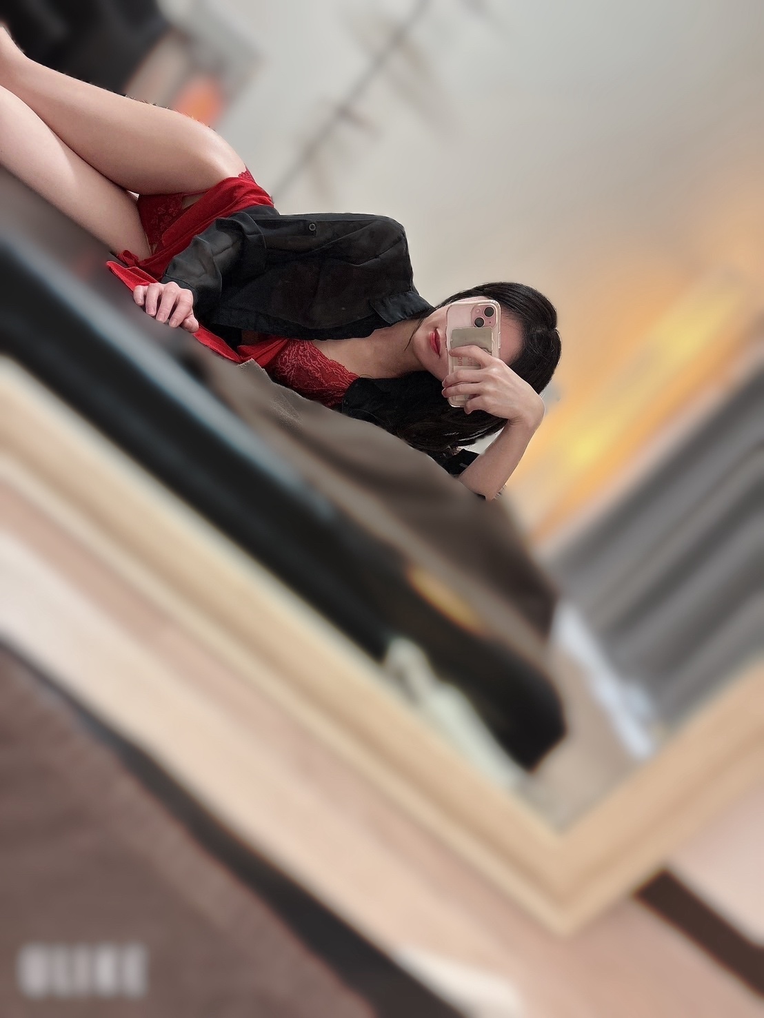 すみれの画像